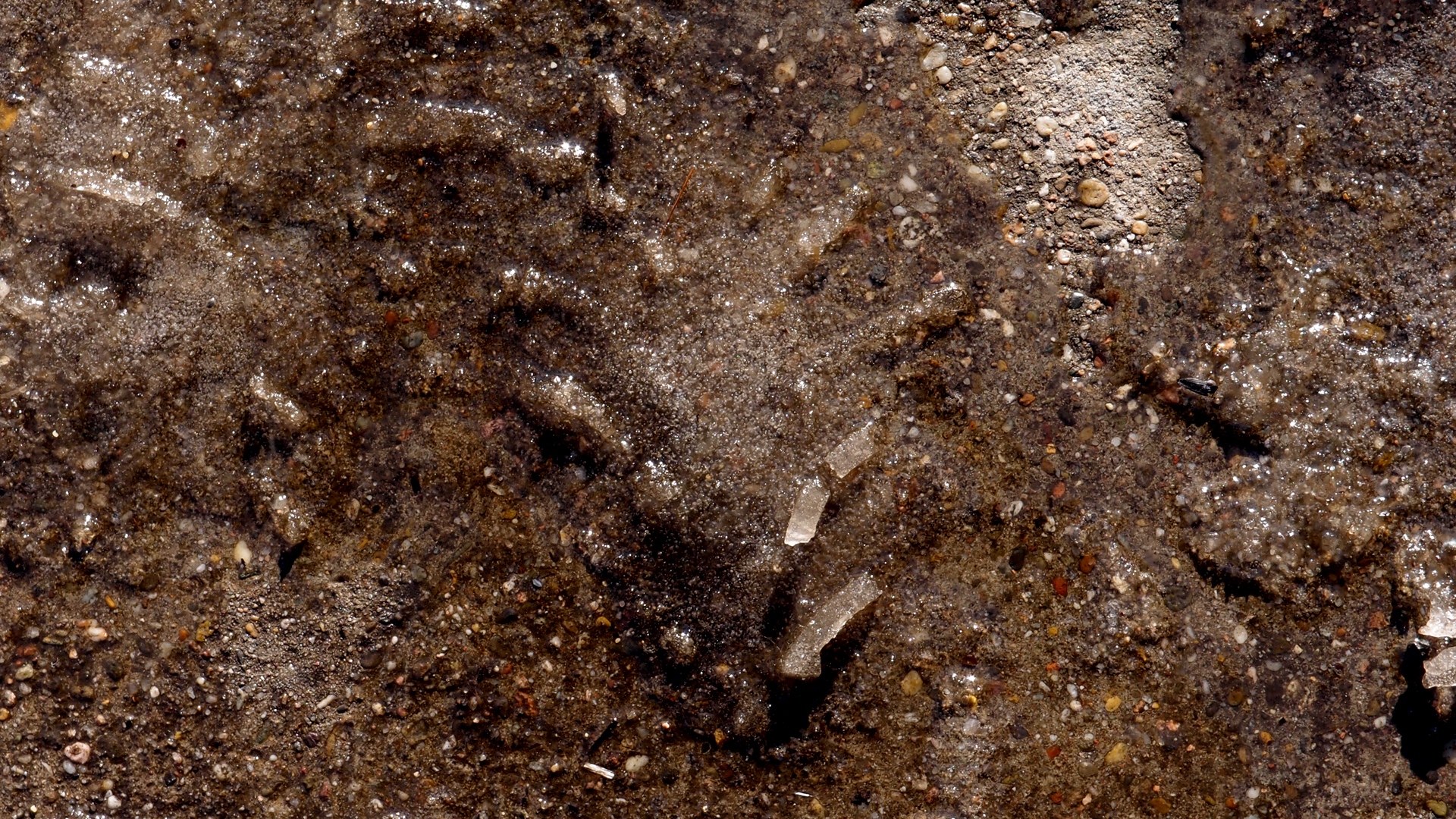 2021-01-30 Wasser in der Sp�le II, On-Off (Remix John Cage 'Sonatas & Interludes') (Komposition, Remix, Recording, Foto)